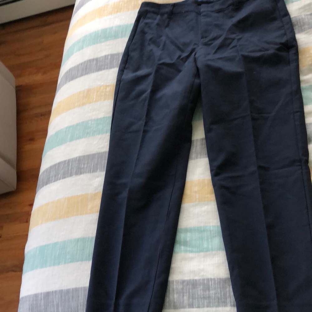 Dress pants